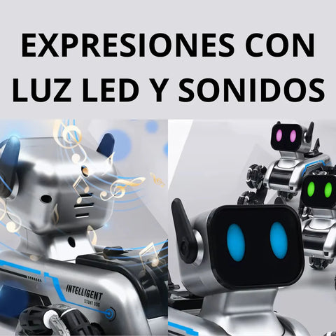 Producto